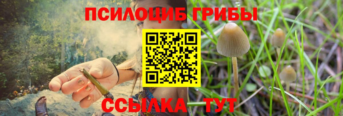 Галлюциногенные грибы Cubensis  Вход с VPN  Галлюциногенные грибы ЛСД  Воткинск 